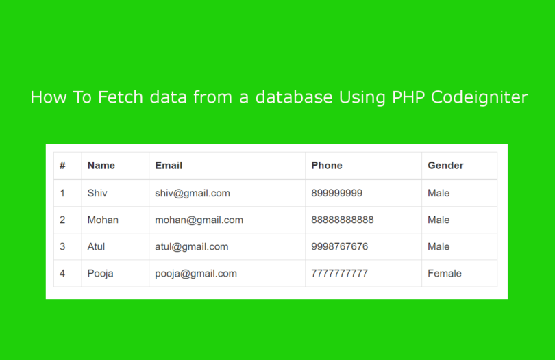 how to fetch data from database in php using array